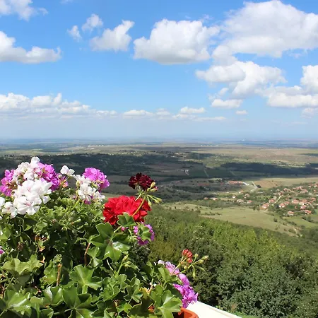 Zaara Estate Winery & Szálloda 3*