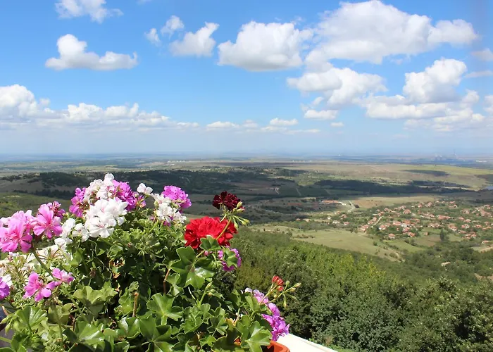 Zaara Estate Winery & فندق 3*